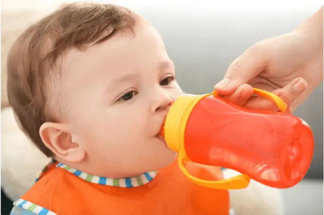 Best sippy cups for babies